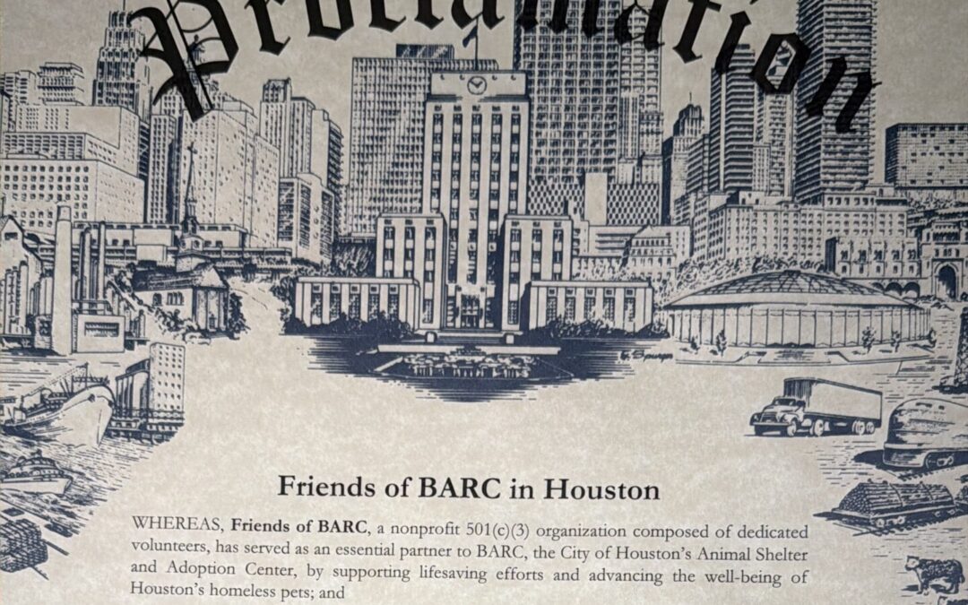 Houston City Council Honors Friends of BARC